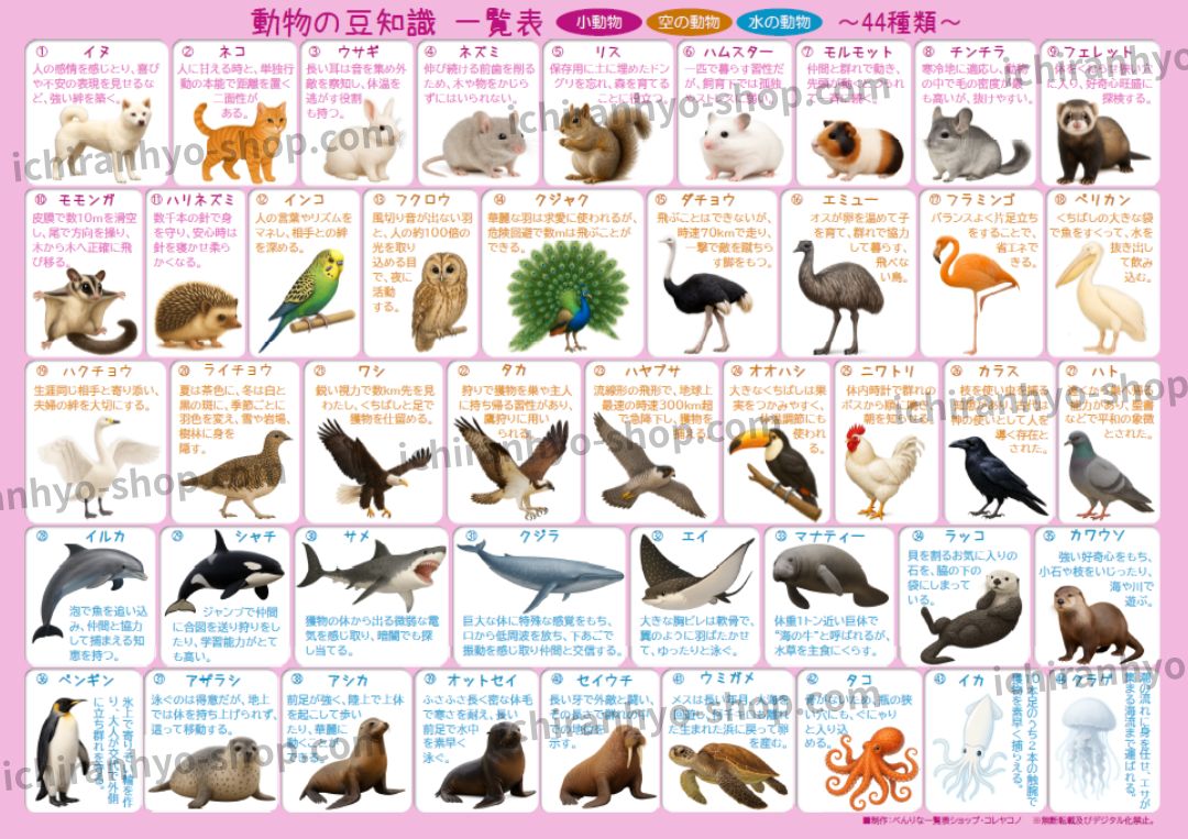 動物の豆知識一覧表【小動物・空の動物・水の動物 44種類編】A4サイズ
