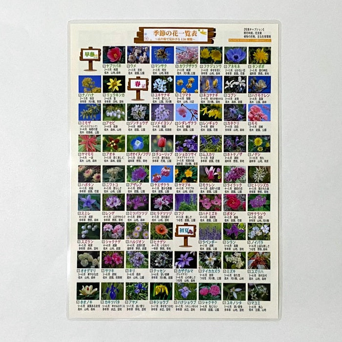 季節の花一覧表・防水ラミネート加工｜春夏秋冬の代表的な花が一目で