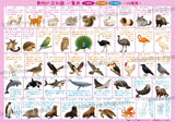動物の豆知識一覧表【小動物・空の動物・水の動物　44種類編】A4サイズ・オモテウラ両面フルカラー・防水ラミネート加工
