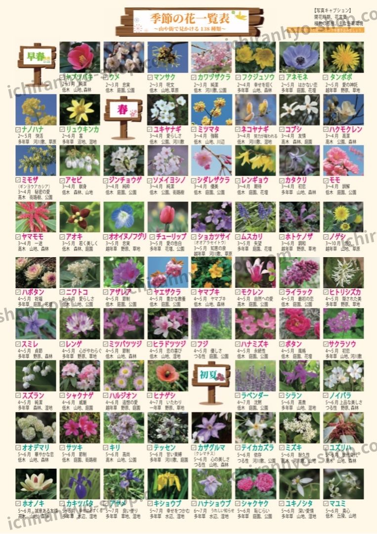 季節の花一覧表・防水ラミネート加工｜春夏秋冬の代表的な花が一目で