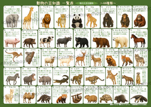動物の豆知識一覧表【陸の大きな動物44種類編】A4サイズ・オモテウラ両面フルカラー・防水ラミネート加工