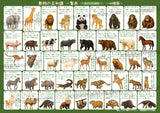 動物の豆知識一覧表【陸の大きな動物44種類編】A4サイズ・オモテウラ両面フルカラー・防水ラミネート加工
