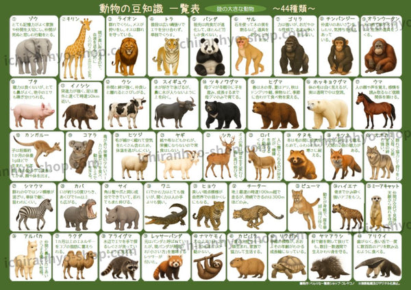 動物の豆知識一覧表【陸の大きな動物44種類編】A4サイズ・オモテウラ