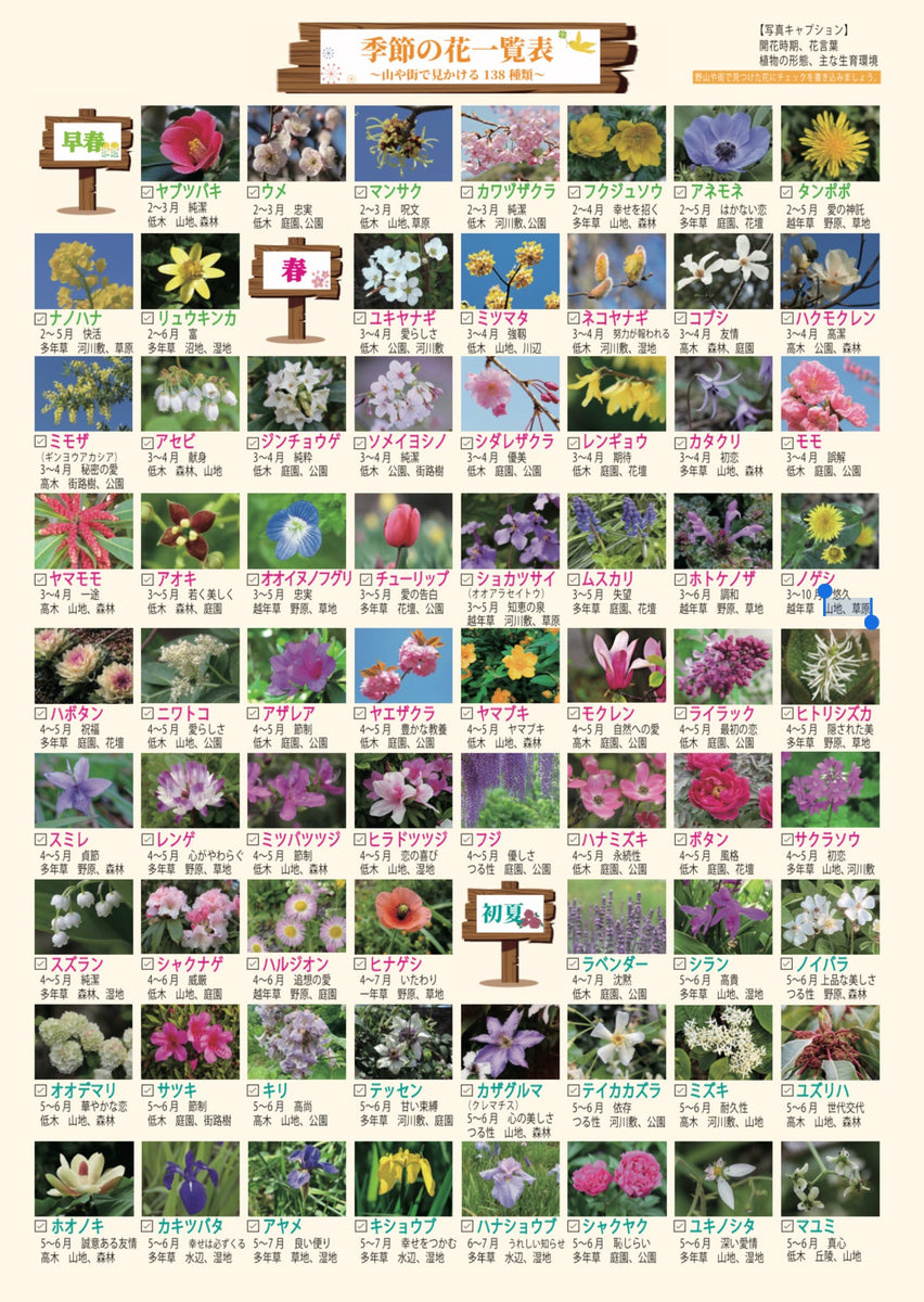 季節の花一覧表【A4コート紙・両面カラー】 – べんりな一覧表ショップ・コレヤコノ