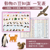動物の豆知識一覧表【小動物・空の動物・水の動物　44種類編】A4サイズ・オモテウラ両面フルカラー・防水ラミネート加工